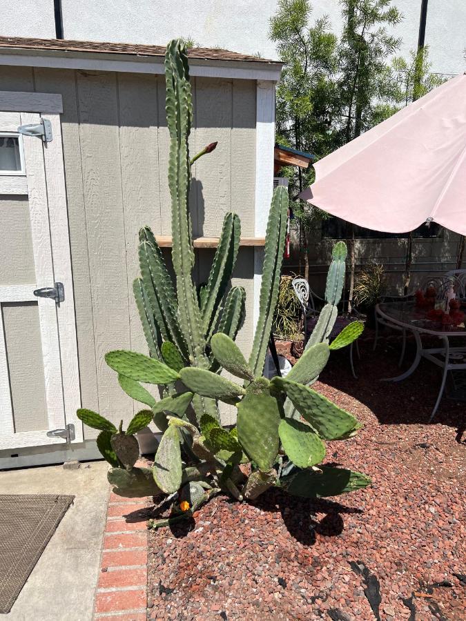 Private Los Angeles Room - Free Wifi, Ac, Tv, Private Fridge, Kitchen, Near Usc - Exposition Park - Usc Memorial Coliseum - Banc Of California Bmo Stadium - Downtown Los Angeles Dtla - University Of Southern California Usc!! 外观 照片